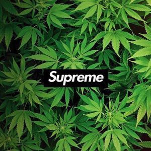 Meet your Posher, Kenny